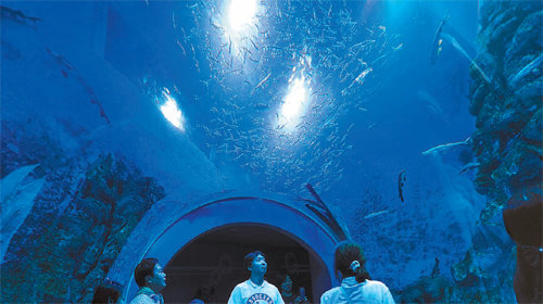 단양군 남한강변에 2012년 5월 문을 아쿠아리움은 국내외 민물고기 187종 2만2000여 마리가 전시돼 있다. 단양군 제공