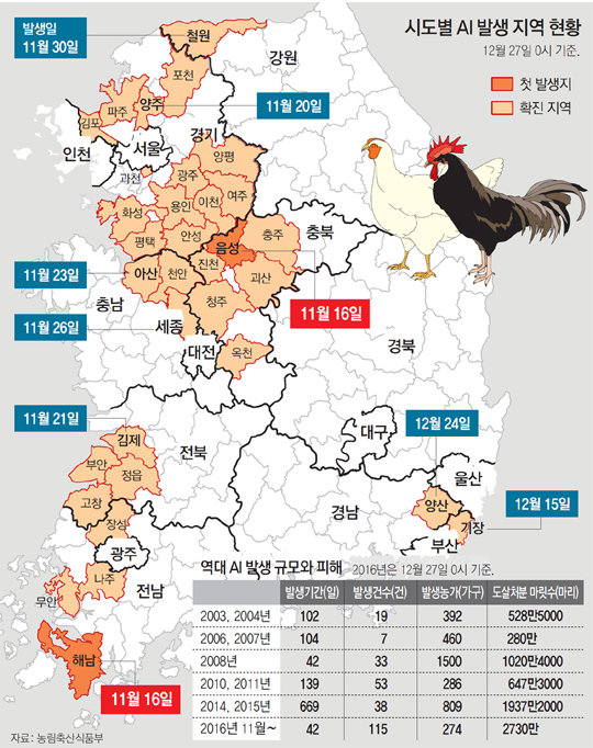 국내 닭 14% 오리 25% 사라져… 도살 5000만 마리로 늘수도