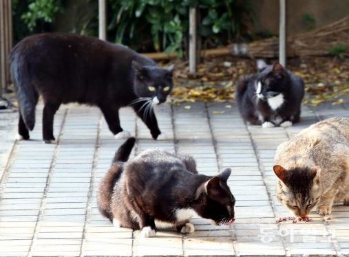 사진=기사와 직접 관계 없는 자료사진/동아일보DB