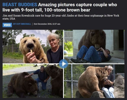 사진=미러 캡처