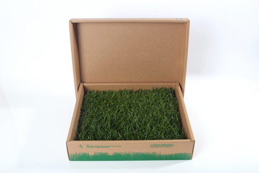 펫네이처 ‘잔디배변판’