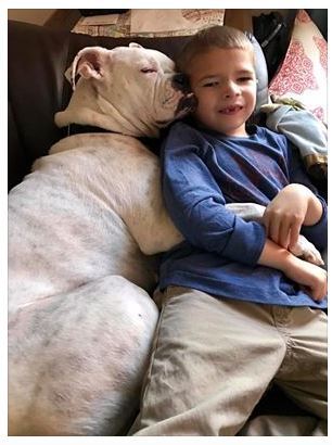 사진=소년의 어머니 페이스북 캡처