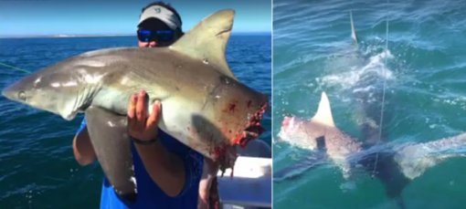 사진=피크 스포츠피싱 페이스북 영상 캡처