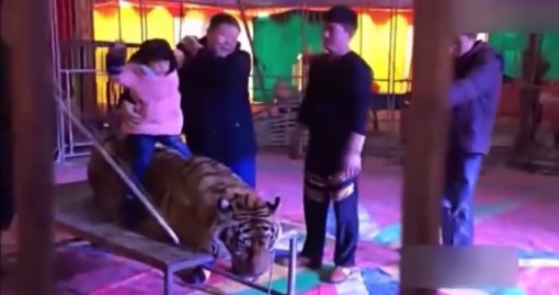 사진=유튜브 영상 캡처