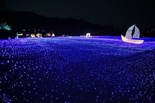 별의 바다를 항해하는 돛단배의 모습이 사랑스럽다. ‘오색별빛 정원전’의 한 장면이다.