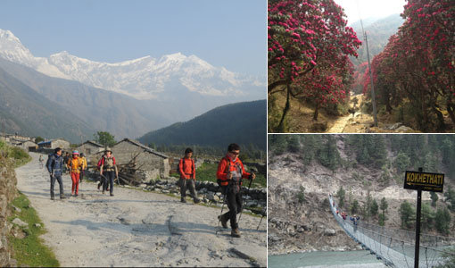 1.툭체(2590m)에서 라르중(2550m)을 거쳐 칼로파니(2530m)까지 본격적인 트레킹을 즐기는 여행객들. 2. 네팔의 국화 랄리구라스가 활짝 핀 봄철 안나푸르나의 오솔길. 3. 칼로파니 트레킹에서 만나는 구름다리. 히말라야의 남성적인 자연미를 느낄 수 있는 구간이다(맨왼쪽부터 시계방향). 사진제공 ｜ 마중여행사