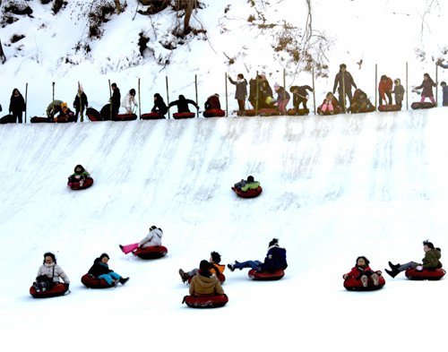 설 연휴기간 충남 청양군 정산면 알프스마을에서 열리는 얼음분수축제에서는 눈썰매 등 다양한 겨울놀이를 즐길 수 있다. 동아일보DB