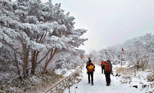 방한 장비를 갖춘 탐방객들이 어리목 코스를 따라 오르며 눈꽃, 서리꽃이 만발한 겨울 한라산을 즐기고 있다. 임재영 기자 jy788@donga.com