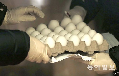 미국에서 수입해 온 달걀을 농림축산검역본부 관계자들이 확인하고 있다. 동아일보DB