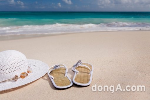 온라인 여행사 익스피디아의 조사결과 우리나라 2635 여성들은 안전한 여행지, 고급 리조트에서의 휴양여행을 선호하는 것으로 나타났다.