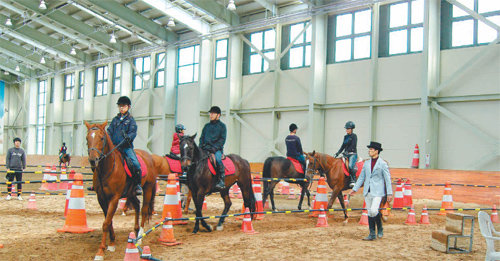 경북 영천시 임고면 운주산 승마장에서 승마 체험 교실에 참가한 회원들이 말을 타고 있다. 영천시 제공