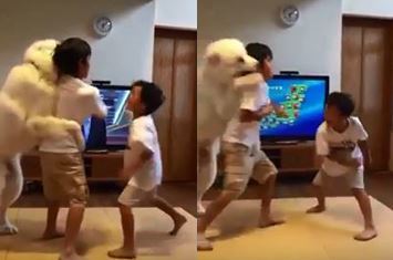 사진=유튜브 캡처