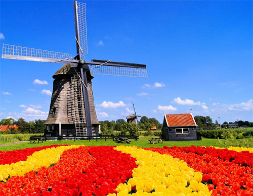 봄이 시작되는 3월이면 세계 곳곳에서 다양한 축제가 열린다. 네덜란드에서는 튤립이 봉우리를 터뜨리는 3월부터 5월 사이 곳곳에서 
튤립 축제가 열린다. 유럽에서는 네덜란드의 튤립 축제를 두고 유럽의 봄을 가장 먼저 알린다고 해 ‘유럽의 봄’이라고 부르기도 
한다. 인터파크투어 제공