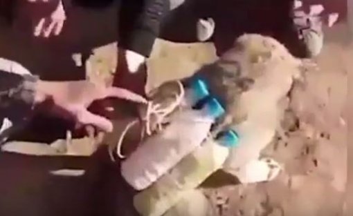 사진=유튜브 캡처