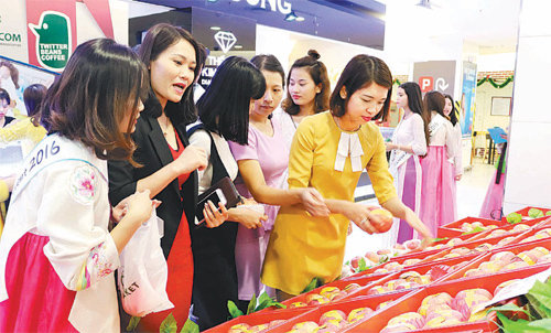 지난해 12월 베트남 하노이 대형마트 판촉 행사장을 찾은 베트남 고객들이 경북 봉화 사과를 고르고 있다. 경북도 제공