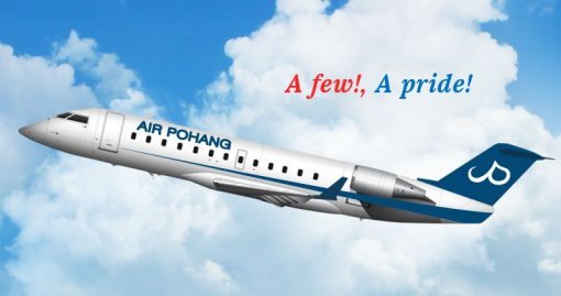 사진=에어포항 홈페이지 캡처