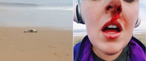 사진=사라 터프 씨 SNS 캡처