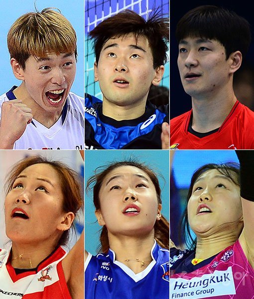 대한항공 한선수-현대캐피탈 노재욱-한국전력 강민웅-흥국생명 조송화-IBK기업은행 이고은-KGC인삼공사 이재은(왼쪽 상단부터 시계방향으로). 스포츠동아DB