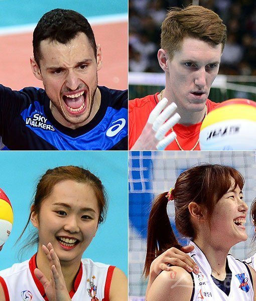 현대캐피탈 대니-한국전력 바로티-IBK기업은행 채선아-KGC인삼공사 최수빈(왼쪽 상단부터 시계방향으로). 스포츠동아DB