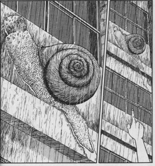 만화 소용돌이에 등장하는 달팽이 인간(출처=게임동아)