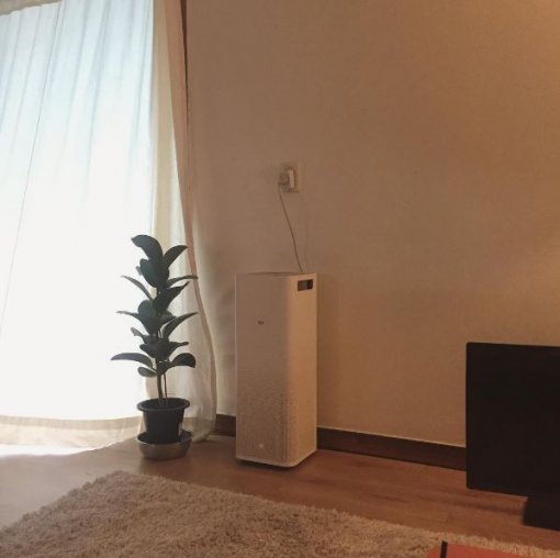 사진=박진주 SNS