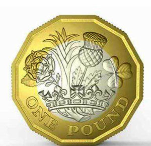 영국 새 1파운드 동전 뒷면.