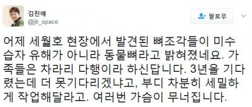 사진=김진애 전 의원 트위터