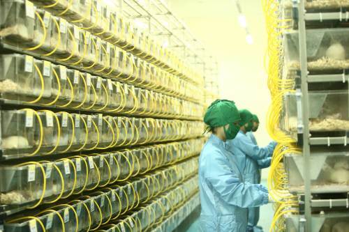 ㈜오리엔트바이오 실험동물센터,