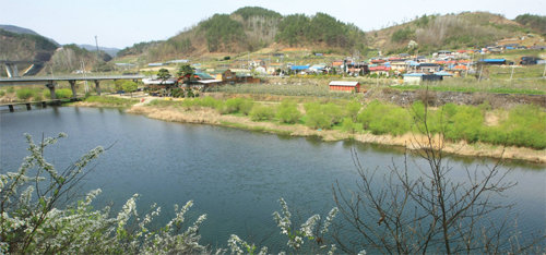 벼랑을 따라 핀 색색의 꽃을 볼 수 있는 전북 무주군 예향천리 금강변 마실길.