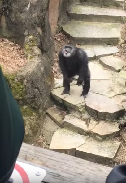 사진=유튜브 영상 캡처