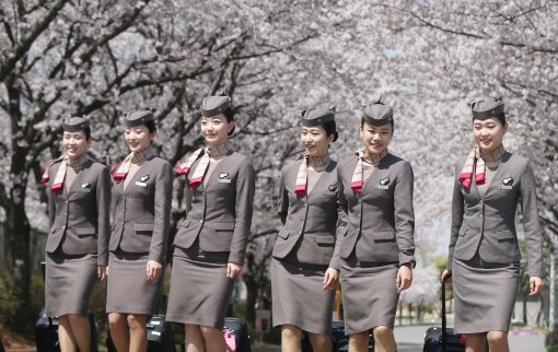 A350 기종훈련을 마친 아시아나항공 캐빈승무원들이 12일 오후 서울 강서구 오쇠동 아시아나항공 본사의 벚꽃터널을 걸어가고 있다.
