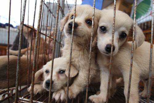 기사내용과 관련없는 자료사진(사진=동아일DB)