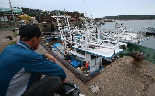 [500자 경제] 수산대국의 ‘가난한 어부들’
