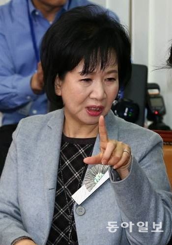 손혜원 더불어민주당 의원