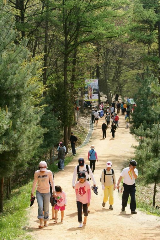 매주 수∼일요일 운행되는 대전시티투어버스는 대덕연구단지를 비롯해 대전의 역사문화, 생태관광지 등을 두루 둘러볼 수 있다. 사진은 전국 유일하게 조성된 대전 계족산 맨발황톳길. 대전시 제공