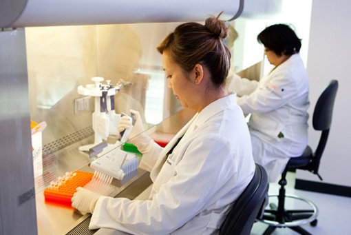 유전자검사에 관한 원천기술을 보유하고 있는 아벨리노그룹은 각막이상증 유전자검사 ‘아벨리노랩 유니버셜테스트’, 원추각막 유전자검사 ‘아벨리노랩 KC테스트’ 등의 서비스를 공급하고 있다. 사진제공｜아벨리노그룹