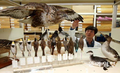 2일 인천 서구 국립생물자원관 수장고에서 박제사 류영남 주무관이 직접 제작한 박제를 가리키며 제작 과정을 설명하고 있다. 인천=홍진환 기자 jean@donga.com