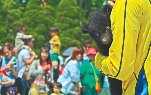 세종시 베어트리파크에서 사육사가 아기 반달곰을 아이들에게 보여주고 있다. 베어트리파크 제공