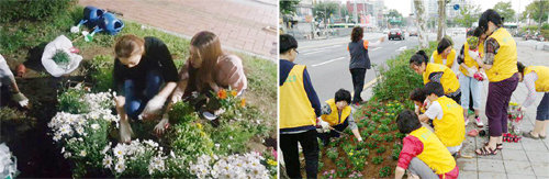 방치된 자투리땅에 꽃을 심고 정원을 꾸미는 ‘게릴라 가드닝’(왼쪽 사진)과 주민들이 도로변 가로수를 입양해 관리하는 ‘나무 돌보미’의 활동 모습. 쿨라워·서울시 제공