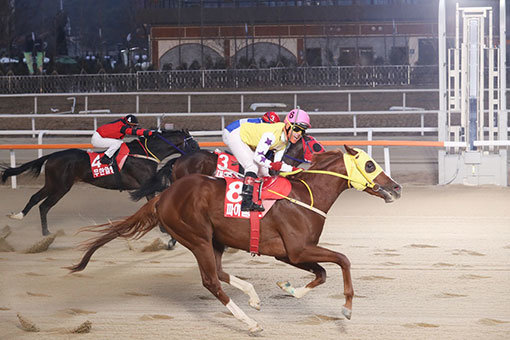 파이널보스는 14일 렛츠런파크 서울에서 열리는 코리안더비의 강력한 우승후보다. 파이널보스는 지난해 12월 4일 브리더스컵에서 최범현 기수와 함께 극적인 역전 우승을 선보이며 코리안더비 출전권을 따냈다. 사진제공｜한국마사회