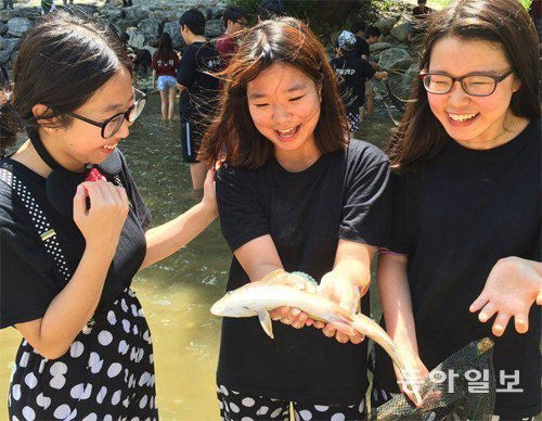 어린이들이 맨손으로 송어 잡기 체험을 하면서 즐거워하고 있다. 동아일보DB