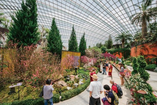 2016년 일본과 싱가포르 국교 50주년을 맞아 ‘가든스 바이 더 베이’에 개최된 벚꽃 이벤트