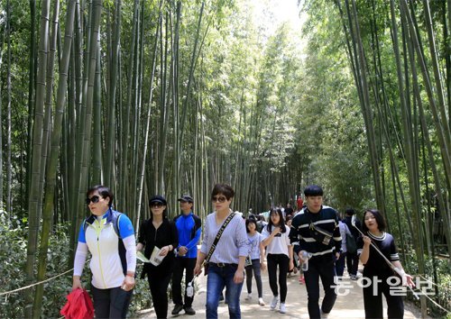 전남 담양군 죽녹원을 찾은 관광객들이 정원처럼 꾸며진 대숲길을 따라 걷고 있다. 박영철 기자 skyblue@donga.com