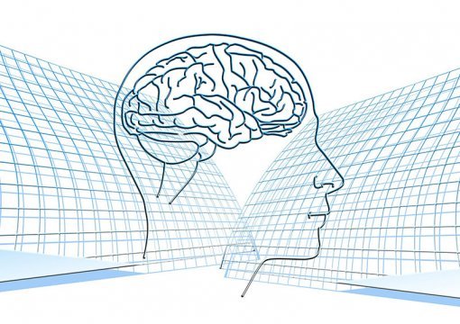 뇌과학(출처=IT동아)