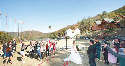 국립 자연휴양림에서 결혼식을 치르는 부부. 6월 30일까지 무료로 결혼식을 치를 대상자를 모집한다. 국립자연휴양림관리사무소 제공