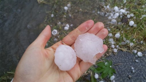 전남 담양에 ‘우박테러’ …자동차 유리창·기와 지붕도 ‘와장창’/담양 주민이 인터넷 커뮤니티 사이트에 올린 우박 사진.