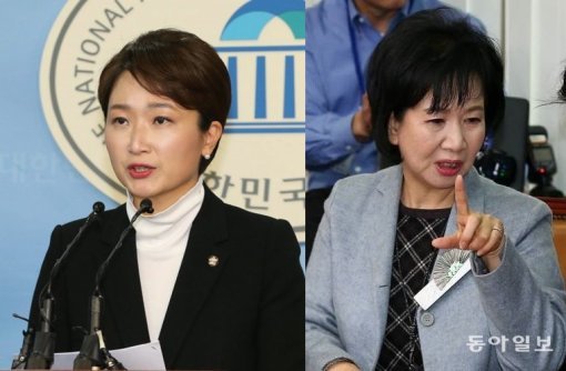 (왼쪽부터) 이언주 국민의당 의원, 손혜원 더불어민주당 의원