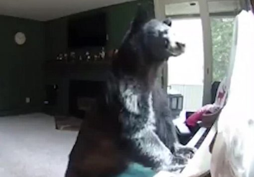 사진=유튜브 캡처