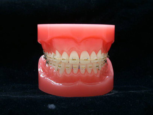 사진=동아일보 DB