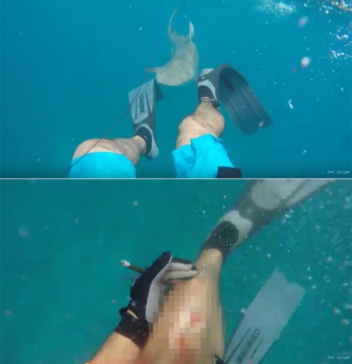 사진=유튜브 영상 캡처